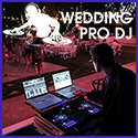 Vermont LGBT Wedding Pro DJ