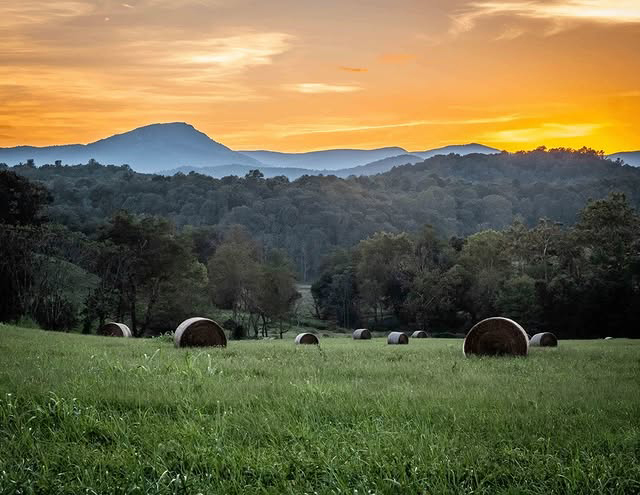 Castleton Meadows LP 
Castleton, Virginia LGBT Weddings
