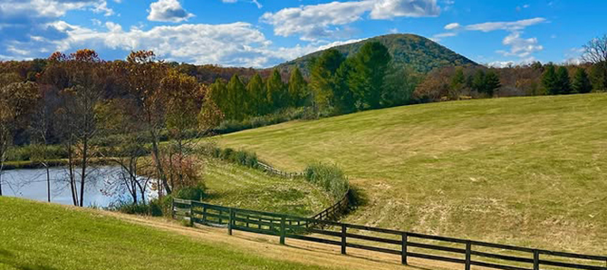 Castleton Meadows LP 
Castleton, Virginia LGBT Weddings
