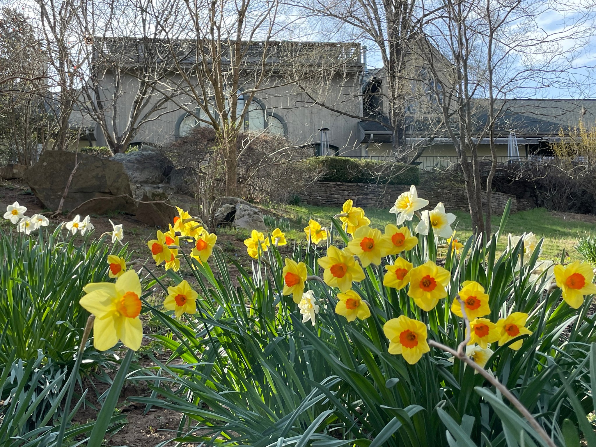 Castleton Meadows LP 
Castleton, Virginia LGBT Weddings
