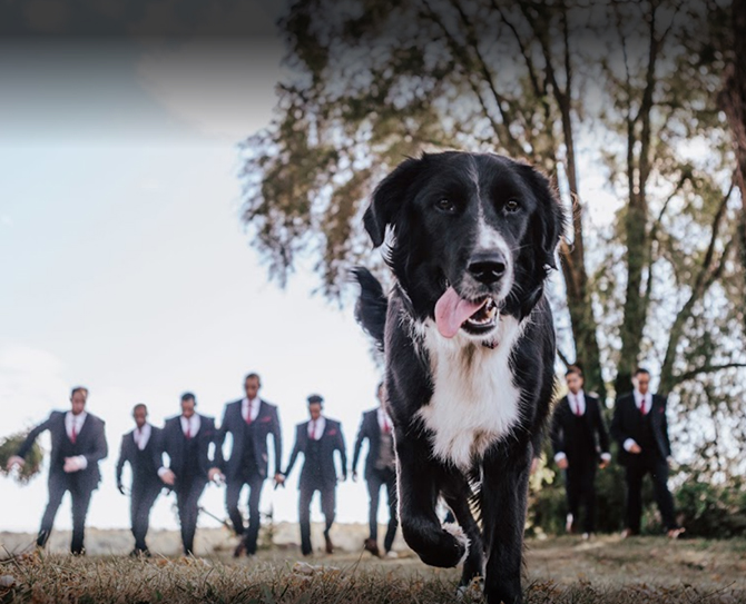 Northern Virginia - NOVA LGBT Wedding Reception Venue - Rixey Manor