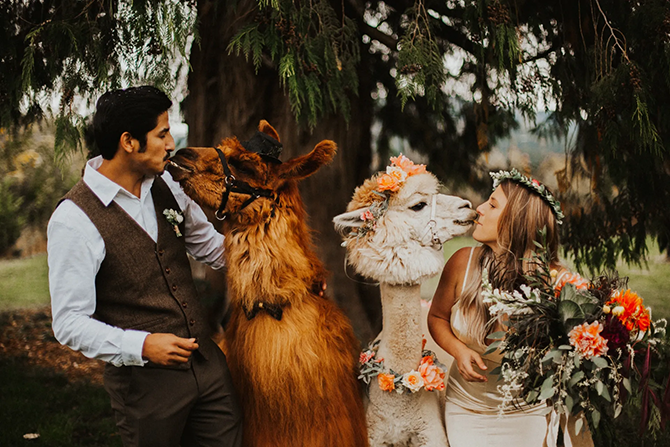 Woodland, WA LGBT Wedding Receptions and Accommodations Adeline Farm