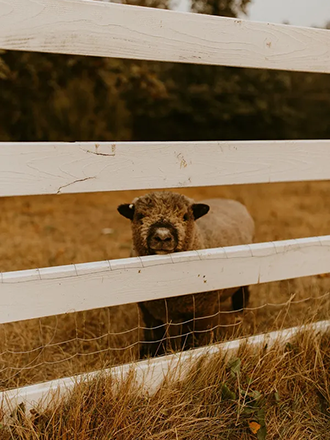 Woodland, WA LGBT Wedding Receptions and Accommodations Adeline Farm