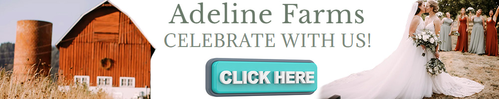 Washington LGBT Weddings