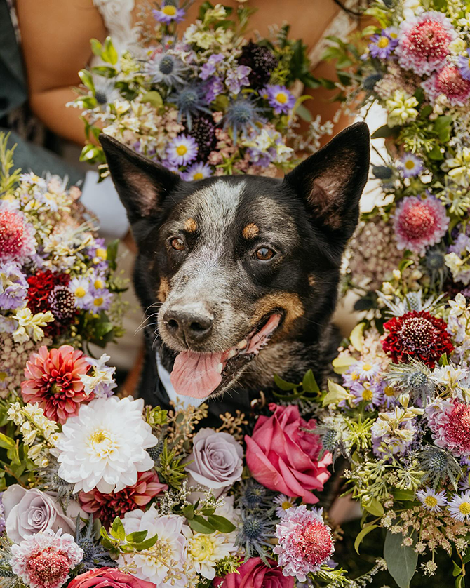 Emett Joseph Photography 
Tacoma, Washington LGBT Wedding Photographer
