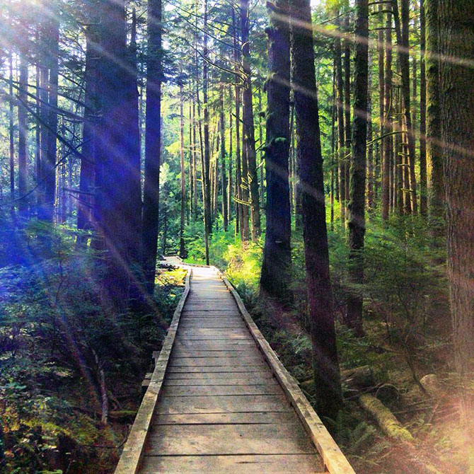 King County's Parks & Recreation - Wooden boardwalk through forest