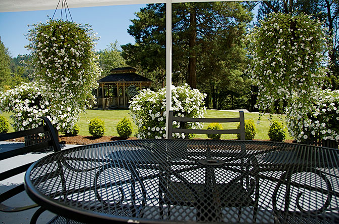 King County's Parks & Recreation - Gazebo ceremony site wooded surroundings