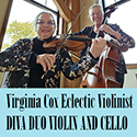 Ecelectic Violinist