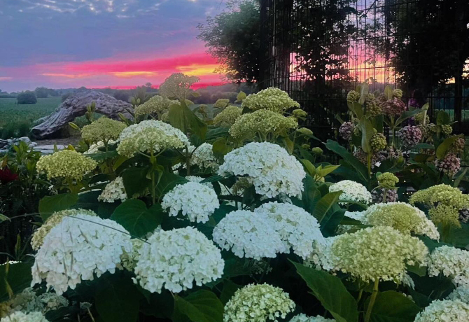 Orchard Valley Acres
West Bend, Wisconsin LGBT Wedding Reception Venue
Southeastern Wisconsin
