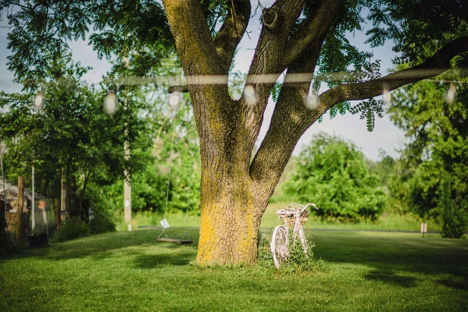 Orchard Valley Acres
West Bend, Wisconsin LGBT Wedding Reception Venue
Southeastern Wisconsin
