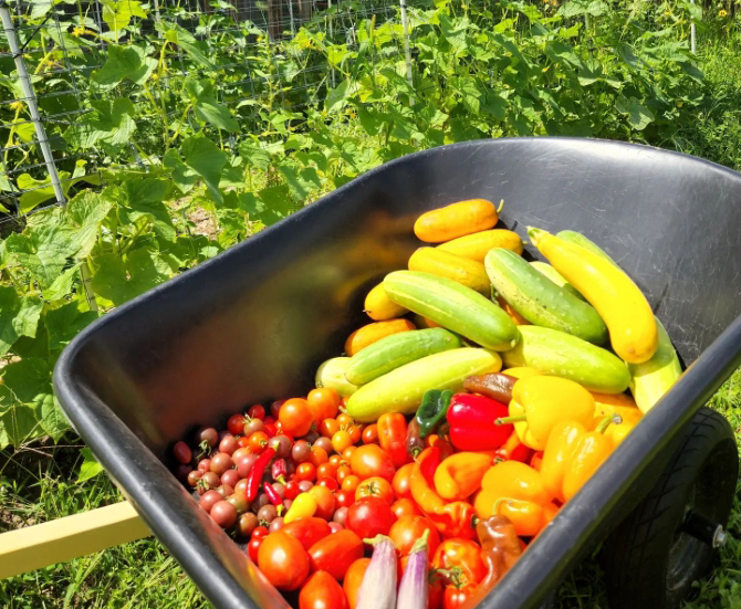 Orchard Valley Acres
West Bend, Wisconsin LGBT Wedding Reception Venue
Southeastern Wisconsin
