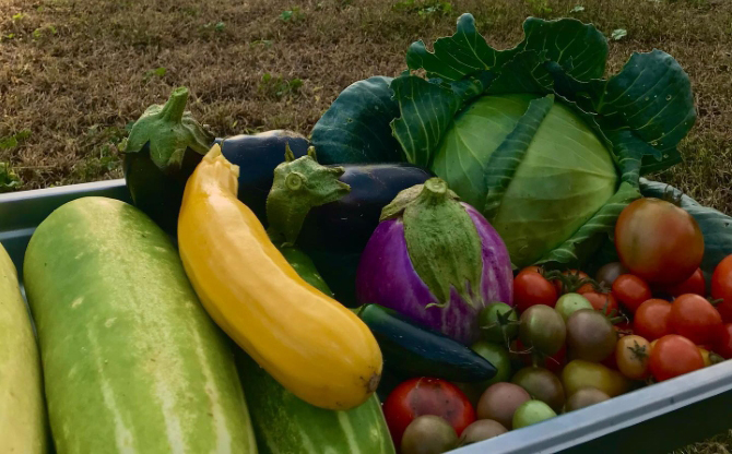 Orchard Valley Acres
West Bend, Wisconsin LGBT Wedding Reception Venue
Southeastern Wisconsin
