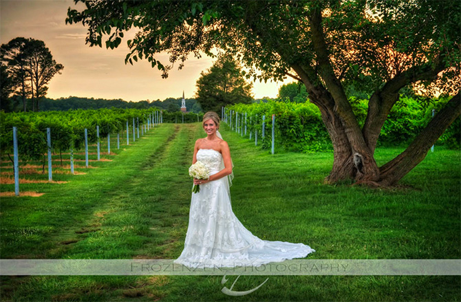 Crown Winery LLC - Wedding Bride in Vinyard