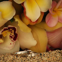 Trinity Hawaiian Weddings - Orange and red orchids