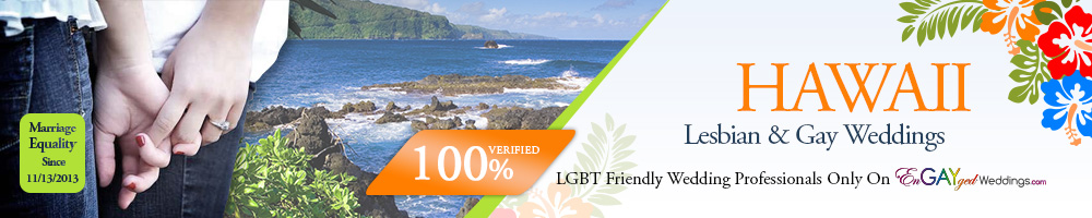Hawaii Gay Marriage